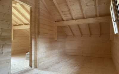 Structures en bois dans les Vosges : un essentiel !